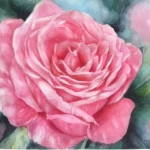 Amal Shihabi, Pink Rose, Watercolor, 16x20