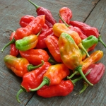 Don Cresswell, Peppers at Vava'u Market, Photography