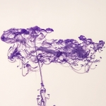 Shadi Kiaee, Purple Tree, Photography