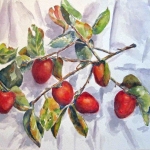 Persimmon Branches, Watercolor, 16 X 20 inches, ©2011