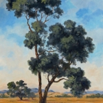 Norma Webb, Lone Eucalyptus, Oil
