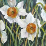Amal Shihabi, Daffodils, Watercolor
