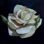 Linda Geniesse, Rose with Buds, Watercolor