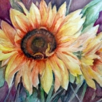 Amal Shihabi,Sunflower,watercolor,20x16,2014