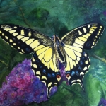 Cynthia Pisani, Spread Your Wings, Watercolor, 19 x 24, 2012 (Copy)
