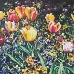 New_Herb Estes, Tulips at the Garden