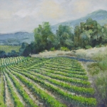 David Gates, Hillside Vineyard, Oil