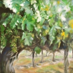 Grapevine Sun Soaked, Oil, 9 x 12 inches, ©2011