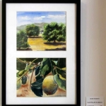 Robin Moreno, Tao Walnut Grove, watercolor
