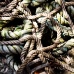 Don Cresswell, I’m at the end of my rope, Photograph