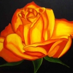 Divya Mavalli, Rose, Oil, 20 X 30 inches, ©2012