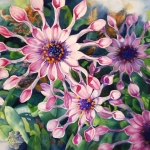 Janet Groza, Star Daisies, Watercolor, 14 x 20, 2012