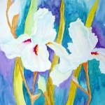 Wendy Oliver, White Iris, Watercolor, 36 x 44, 2012